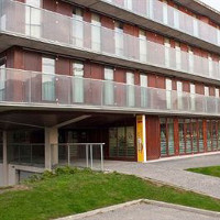 Vidu la bildon