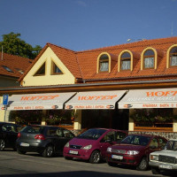 Vidu la bildon