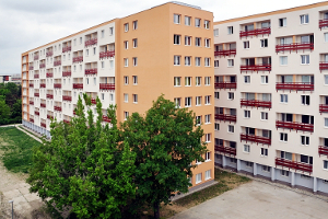 Vidu la bildon